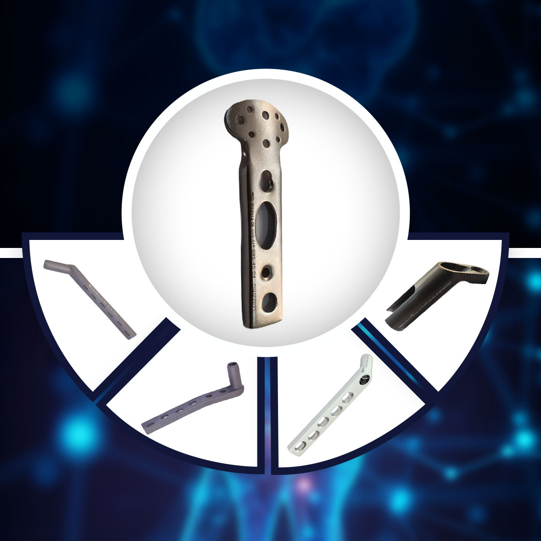 DHS-DCS & FNS System Manufacturer in Delhi